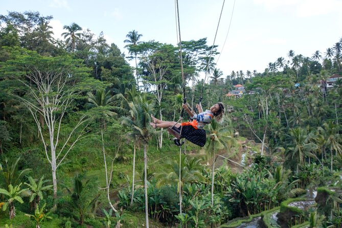 Full Day Private Guided Tour to Bali - Optional Ubud add-ons: arts shopping, temples, and a hill walk
