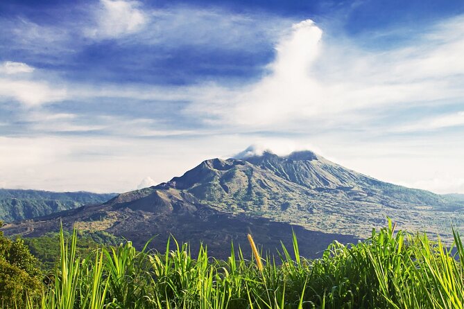 Full Day Private Guided Tour to Bali - Price and logistics for a 9-hour private Bali tour at $60.82