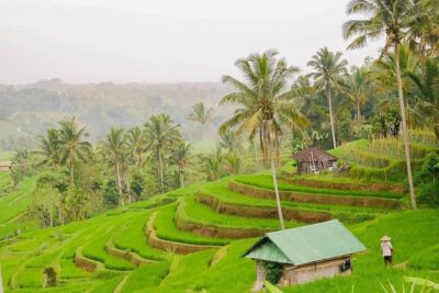Full-Day Private North Bali Tour with Free WiFi - Stop-by-Stop: Tanah Lot Temple to Jatiluwih Green Land