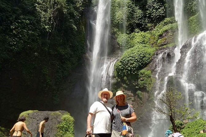 Full Day Private Tour All Inclusive Hidden Gems Bali Waterfall - Your driver turns it from a trip into a smooth day