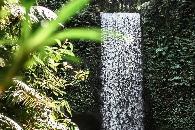 Full Day Private Tour All Inclusive Hidden Gems Bali Waterfall - Price and logistics: Is $60 per person actually good value?
