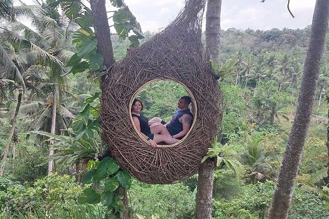 Full Day Private Tour from Tegenungan Waterfall to Tanah Lot - Tegalalang Rice Terraces: subak irrigation views and photo-friendly angles