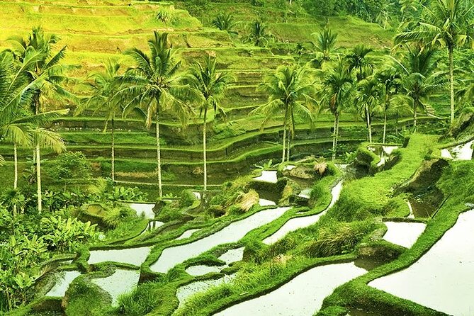 Full Day Private Tour in Ubud Indonesia - Key Things That Make This Ubud Tour Work