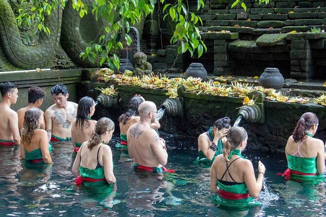 Full Day Private Tour in Ubud Indonesia - Private Ubud Route With a Real Driver Plan