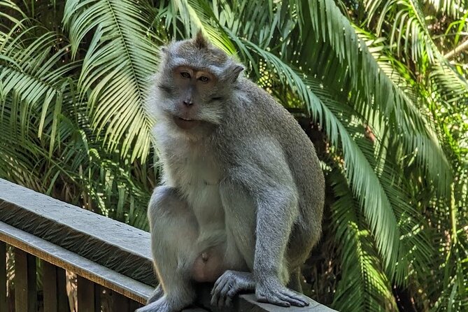 Full Day Private Tour to Ubud Waterfall and Tanah Lot Sunset - Stop 4: Taman Ayun Temple gardens and Bali architecture