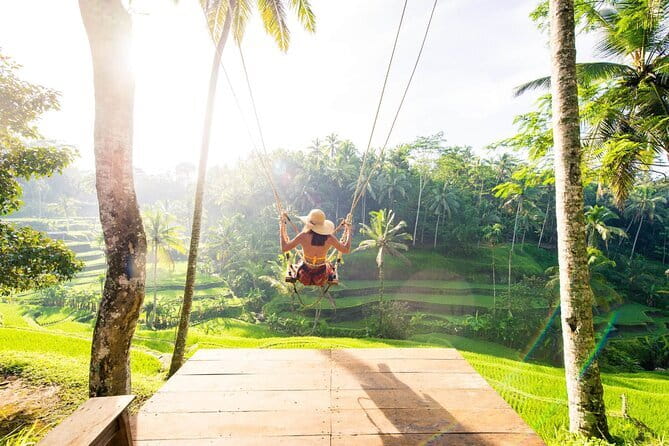 Full Day Private Tour to Ubud Waterfall and Uluwatu Sunset - Ubud Monkey Forest Sanctuary: temples, trees, and a lot of monkeys
