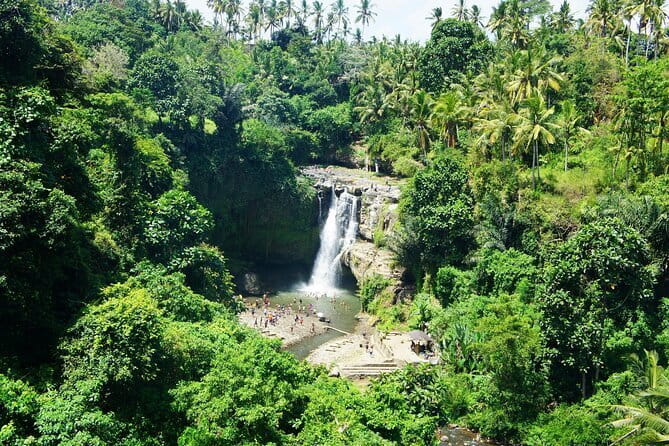 Full Day Private Tour to Ubud Waterfall and Uluwatu Sunset - Ubud lunch break: Indonesian food with vegetarian options