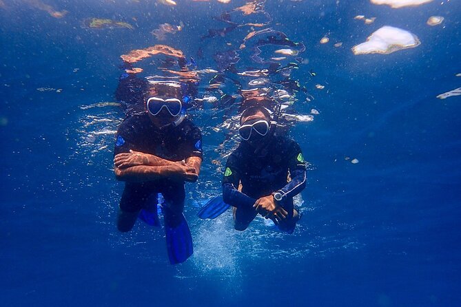 Full-Day Scuba Diving Experience of USAT Liberty in Tulamben - Price and value: what $134 covers (and what costs extra)