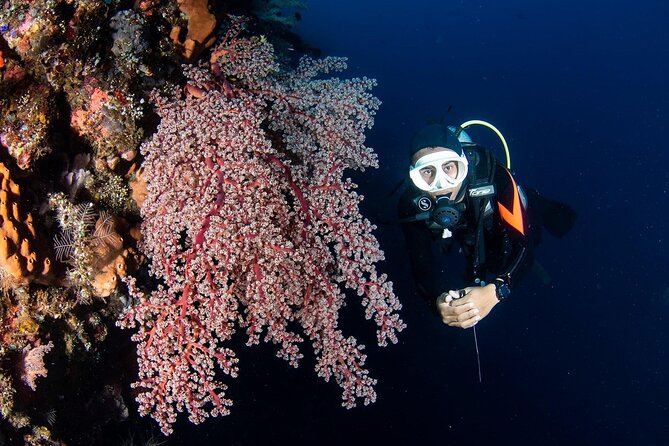 Full-Day Scuba Diving Experience of USAT Liberty in Tulamben - Gear, tank, weight belt, and what you should verify