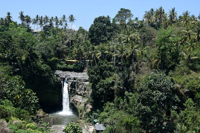Full day Tour to Best of Ubud with jungle swing - Price and Value: $33.24 Works Best When You Budget for Entrance Fees