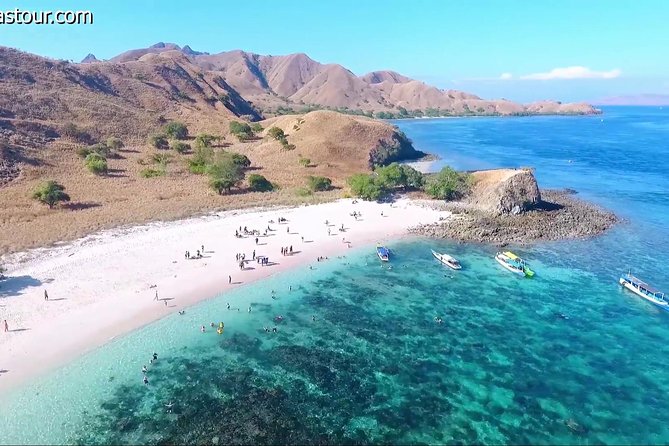 Full Day Tour to Komodo Island By Speed Boat to explore 6 destinations - Komodo Island Day Trip: The Smart Way to Do It From Labuan Bajo