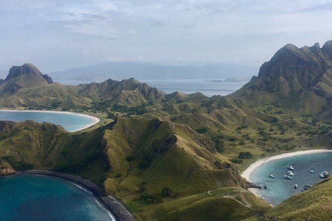 Full Day Tour to Komodo Island By Speed Boat to explore 6 destinations - Manta Point Snorkeling: When the Reef Wants Your Attention