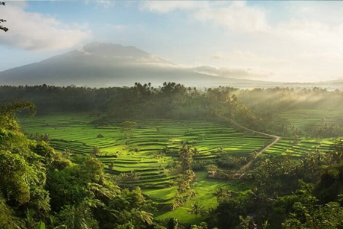 Full Day Tour to Water Temples UNESCO Rice Terraces in Bali - Door-to-Door Timing From Ubud: How the 8 Hours Really Feel