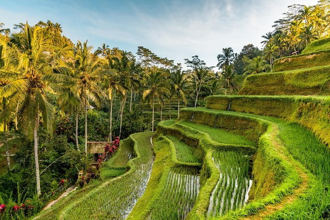 Full Day Tour to Water Temples UNESCO Rice Terraces in Bali - Stop 3: Handara Iconic Gate for a Big-Background Photo