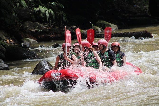 Full-Day Tour: White Water Rafting and Highlight of Ubud with All-inclusive - Getting There Smoothly: Pickup Areas and What the Start Time Means