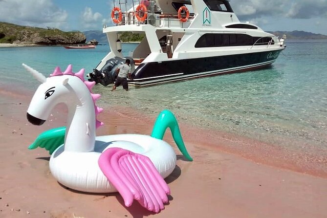 Full Day Trip to Explore 6 Destinations in Labuan Bajo and Komodo - Manta Point snorkeling: the “lucky day” factor, plus gear support