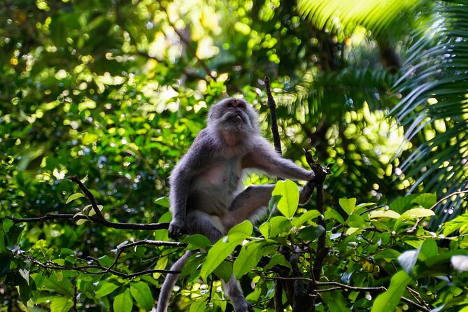 Full Day – Ubud Art Village and Mount Batur Kintamani with Lunch - Mount Batur Kintamani lunch: the view is the whole point