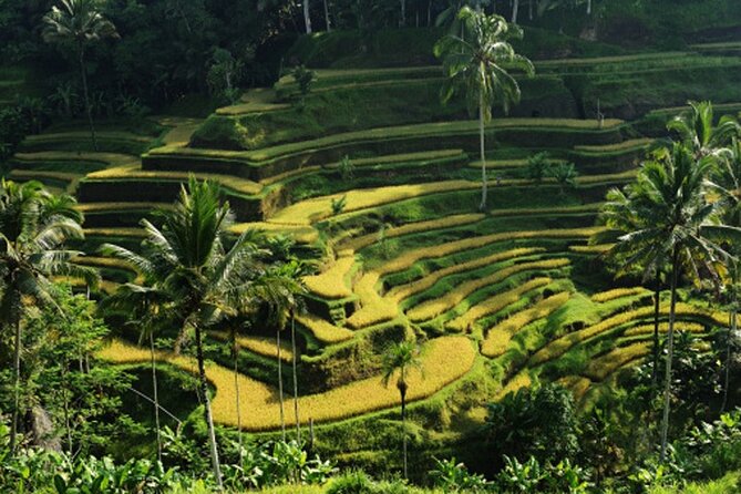 Full Day – Ubud Art Village and Mount Batur Kintamani with Lunch - Tegenungan Waterfall: the last big scene in a long day