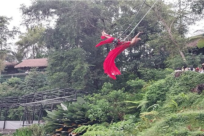 Full Day Ubud Tour - The Big Picture: Why this Ubud route feels efficient
