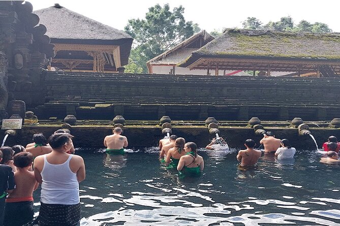 Full Day Ubud Tour - Sacred Monkey Forest Sanctuary: macaques, shade, and common-sense safety