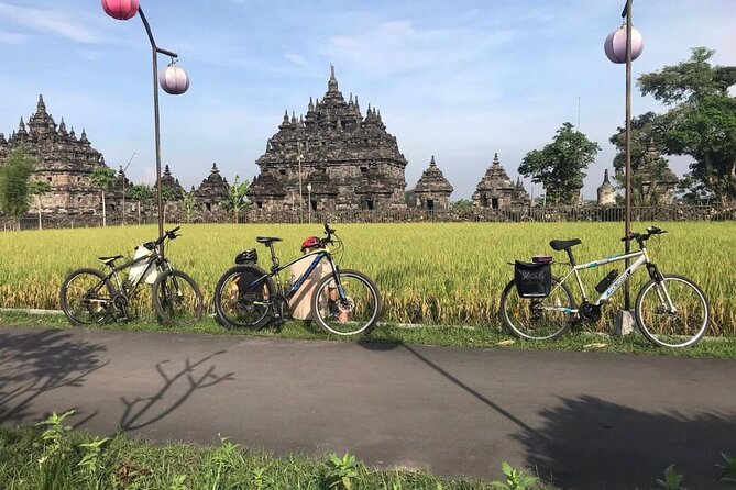 FUN Cycling Tour De Temples - Sari Temple: a calm introduction with farm-country views