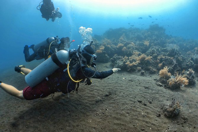 Fun Diving Tulamben Bali - For Certified Divers - What the boat-free “shore entry” really means for your comfort
