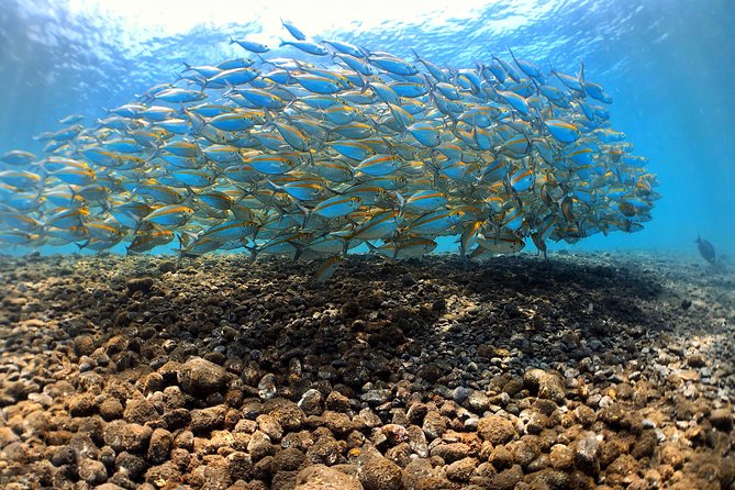 Fun Diving Tulamben Bali - For Certified Divers - The team approach: instructors, patience, and photo help that actually matters