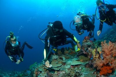 Fun Diving Tulamben Bali - For Certified Divers - A long day in Bali: pickup, bus time, lunch, and the 5:00 PM return