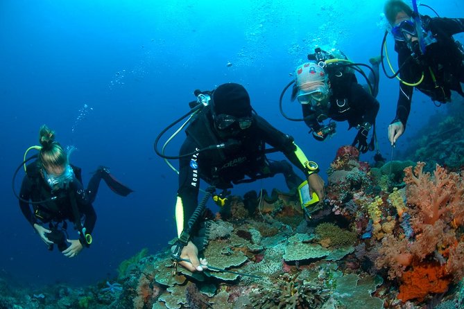 Fun Diving Tulamben Bali - For Certified Divers - A long day in Bali: pickup, bus time, lunch, and the 5:00 PM return