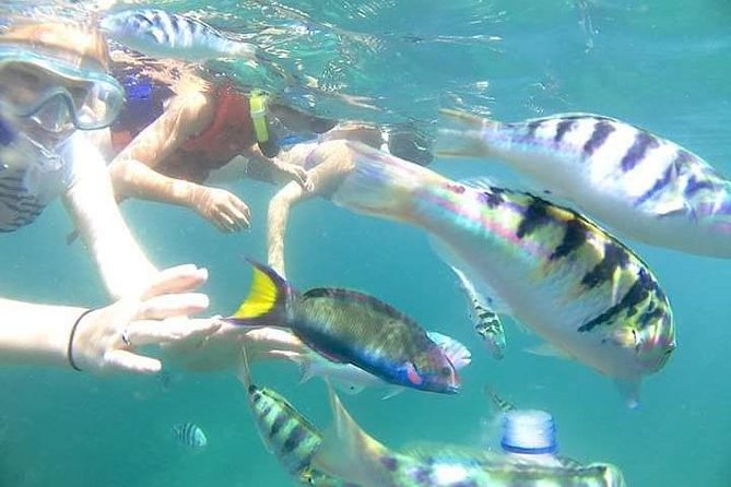 Gate Heaven Tirta Gangga With Snorkeling Private Guided Tour - Price and what feels like value in this $81.47 private day