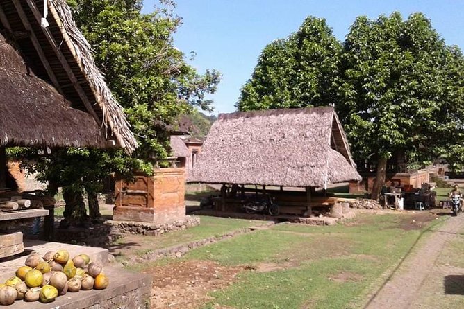 Gate of Heaven and Tukad Cepung Waterfall - Tenganan Village: Traditional Customs as Part of the Day