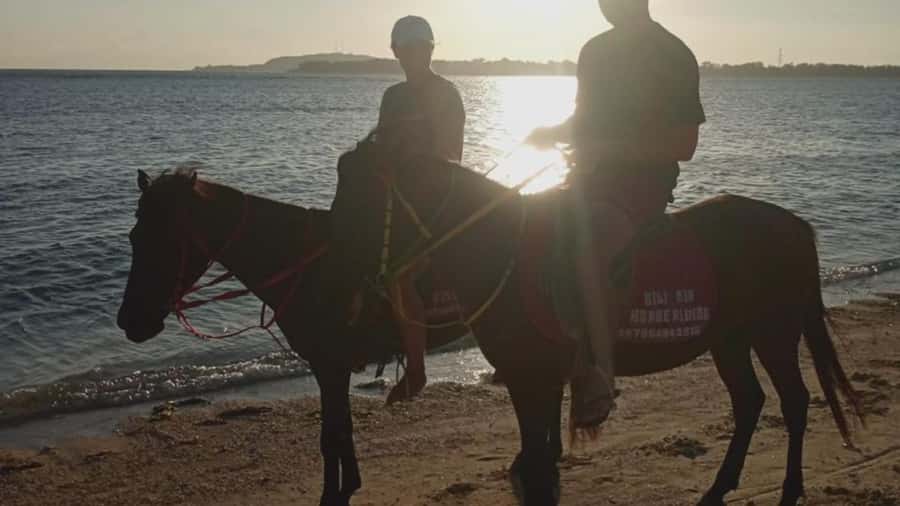 Gili Air: 1-Hour Horse Riding Adventure - Should You Book This Gili Air Horse Ride?