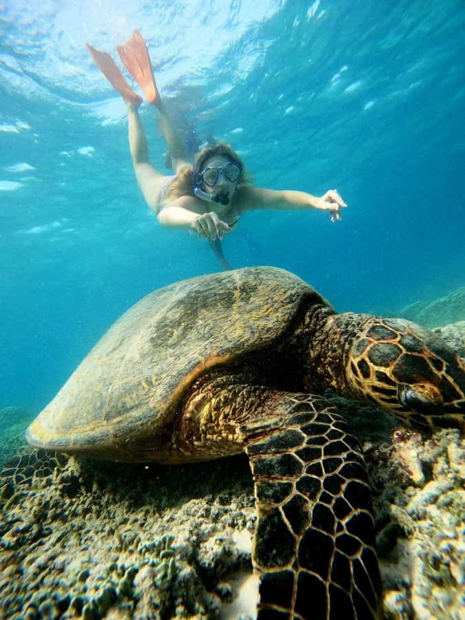 Gili Air Share Snorkeling Tour With GOPRO Documentation - A 4-hour share snorkeling plan that covers Gili Air, Meno, and Trawangan