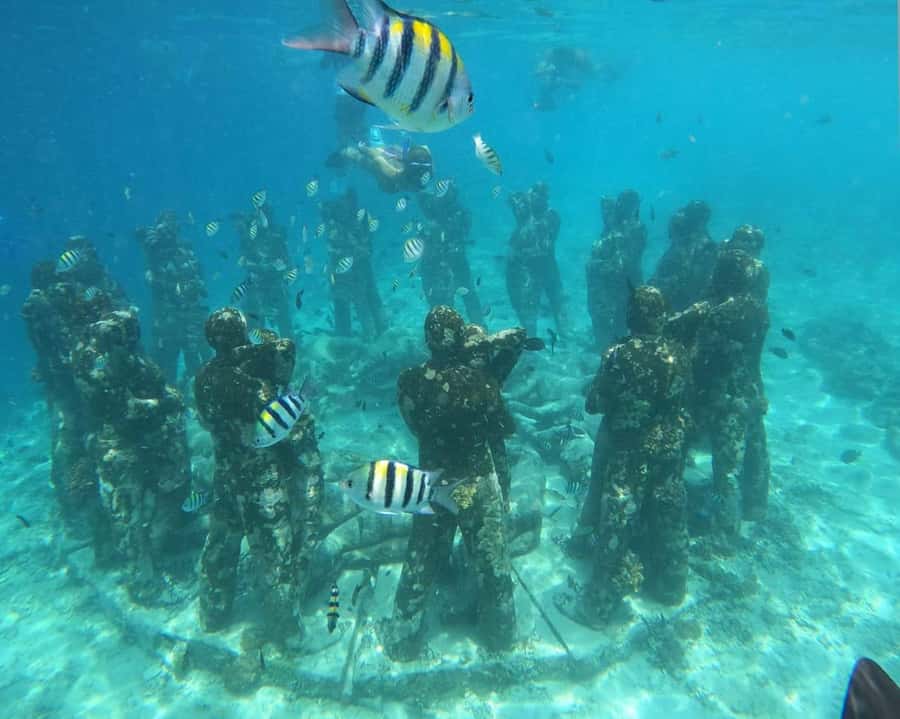 Gili Air : Sharing Snorkeling Tour + Gopro Shooting - Meeting at Oseana Snorkeling Adventure (and why being early helps)