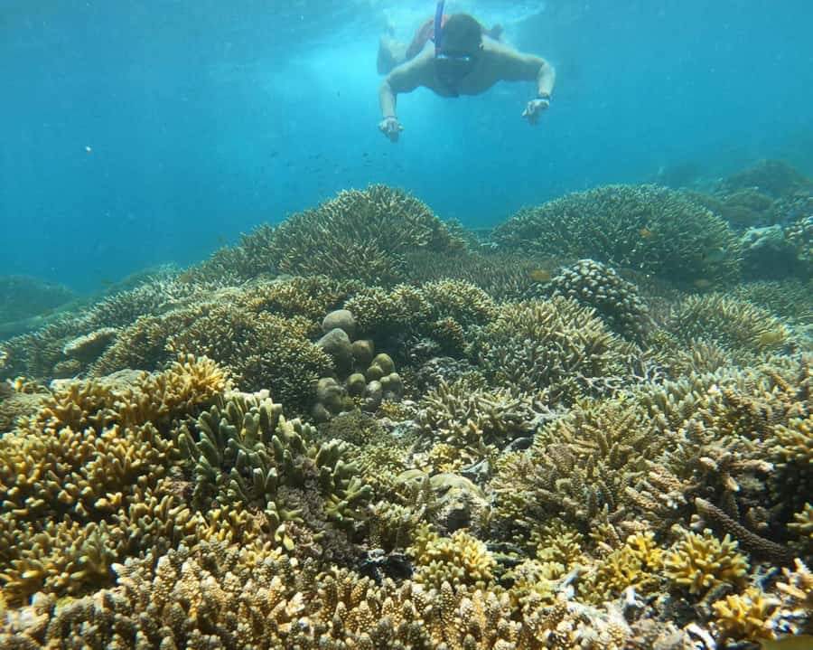 Gili Air : Sharing Snorkeling Tour + Gopro Shooting - Stop 4: Turtle Point on Gili Trawangan