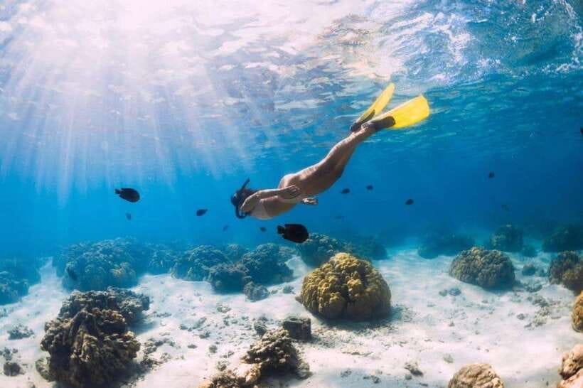 Gili Air: Snorkeling 3 Gili Islands with GoPro Camera - Turtle Point: turtles, coral, and an early hit of excitement