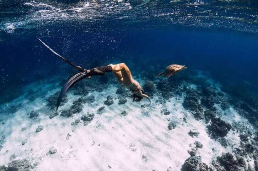 Gili Air: Snorkeling 3 Gili Islands with GoPro Camera - Blue coral gardens: where snorkeling feels like “watching a city”