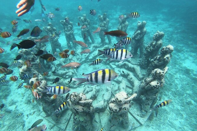 Gili island Snorkeling Half Day Trip departure from Gili Trawangan - Key things I’d mark on your map