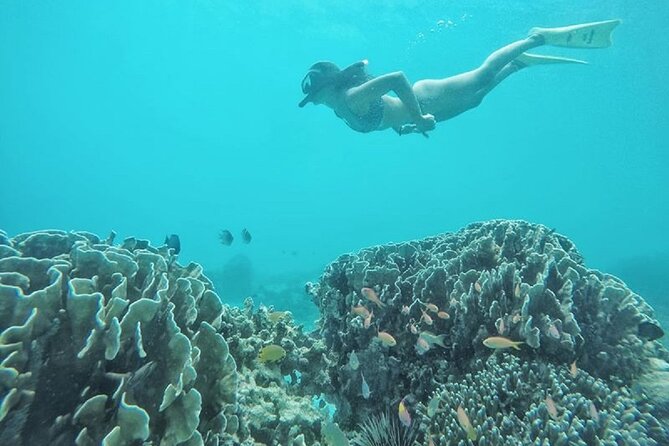 Gili island Snorkeling Half Day Trip departure from Gili Trawangan - Who should book this Gili Trawangan snorkeling half-day trip?