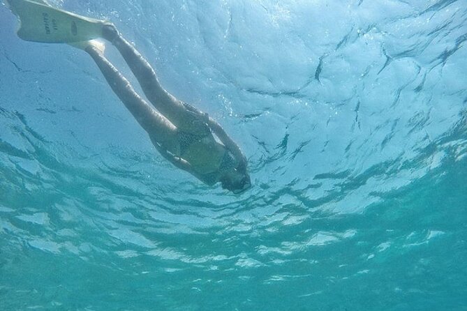 Gili island Snorkeling Half Day Trip departure from Gili Trawangan - Should you book this Gili Islands turtle and Nest snorkel trip?