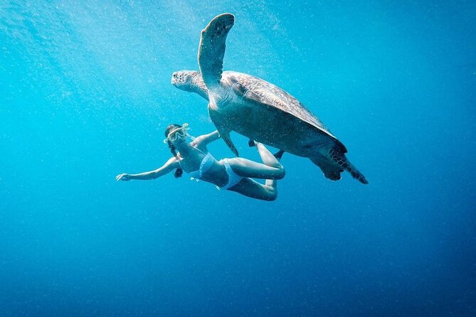 Gili Island Snorkeling Trip - Gili Trawangan, Gili Meno, & Gili Air, From Lombok - Key Highlights You’ll Actually Notice