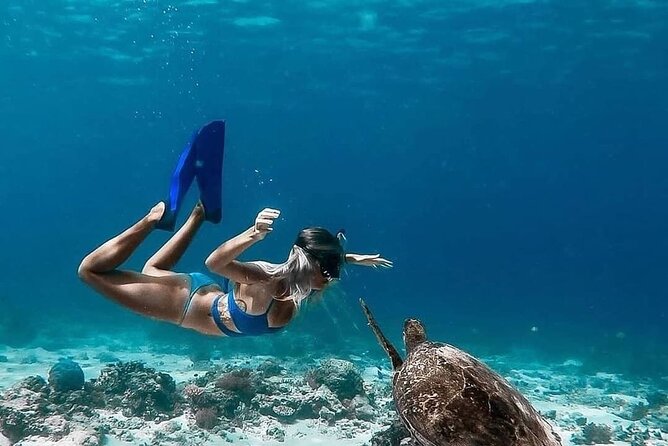 Gili Island Snorkeling Trip - Gili Trawangan, Gili Meno, & Gili Air, From Lombok - Gili Meno Coral Spot and Statue Ring Point: Two Types of Snorkeling Fun