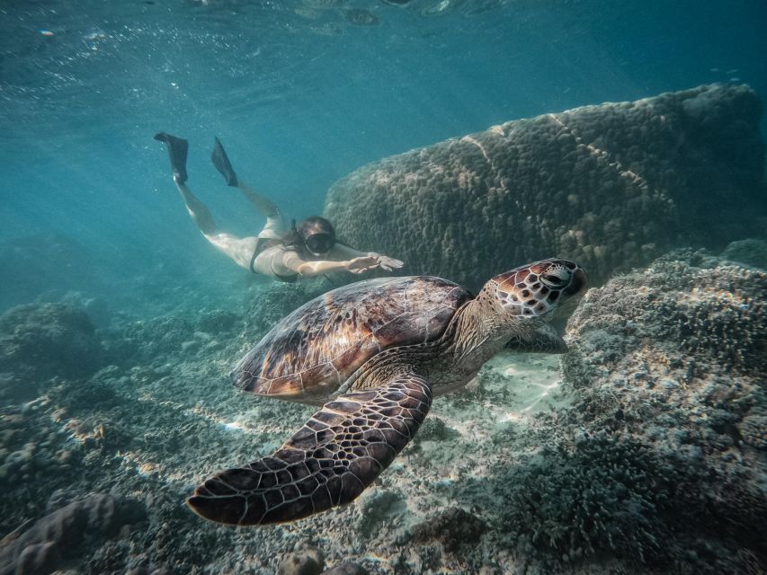 Gili Islands: Group or Private Snorkeling Tour with GoPro - Starting at Sama-Sama Reggae Bar: the flow of your tour