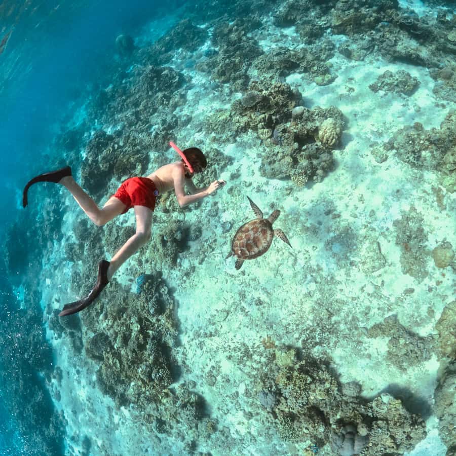 Gili Islands: Private or Shared Snorkeling Boat Trip - How the Gili Islands snorkeling plan works (and why it feels easy)