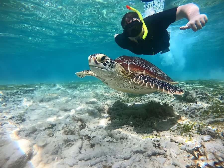 Gili Islands: Private Snorkeling Boat Tour with Local Guide - Private Boat Snorkeling Across Gili Trawangan, Meno, and Air