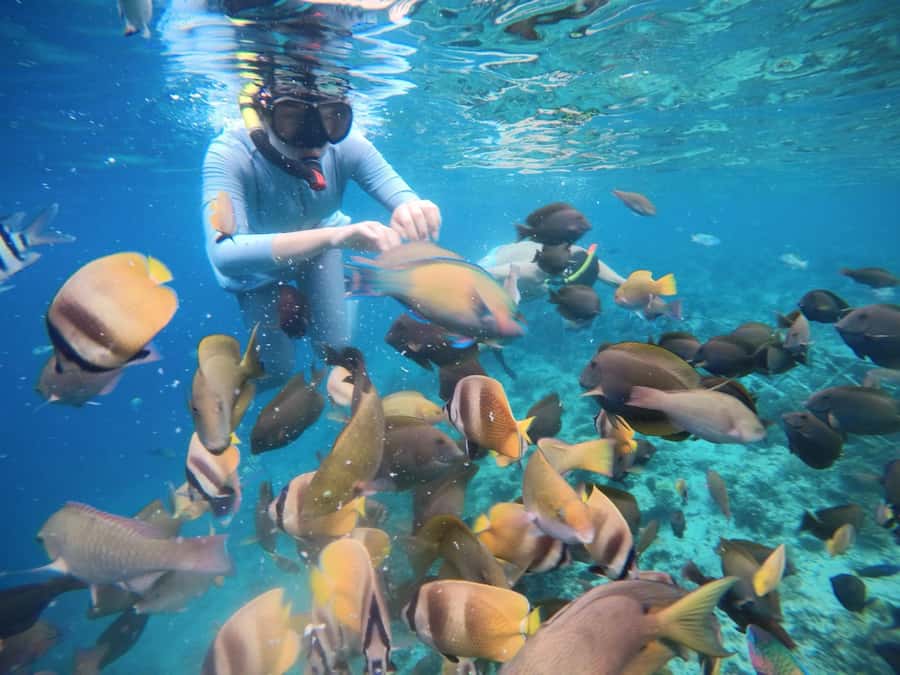 Gili Islands: Private Snorkeling Boat Tour with Local Guide - The guide makes or breaks snorkeling days (Abdul, Azis, Jenny, Adnan)
