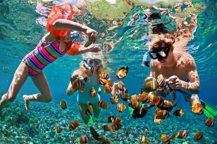 Gili Islands Snorkeling Adventure - Key things I’d notice right away