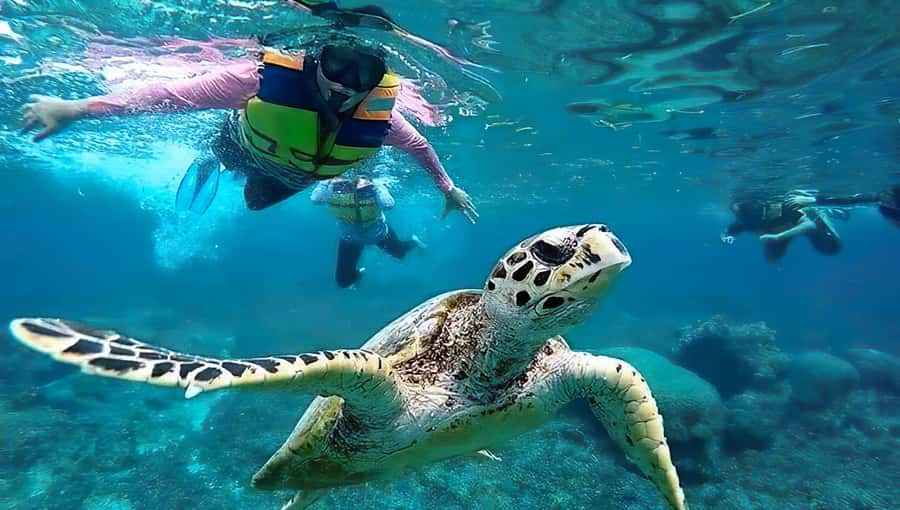 Gili Islands Snorkeling Adventure - Why This Gili Snorkeling Route Works So Well