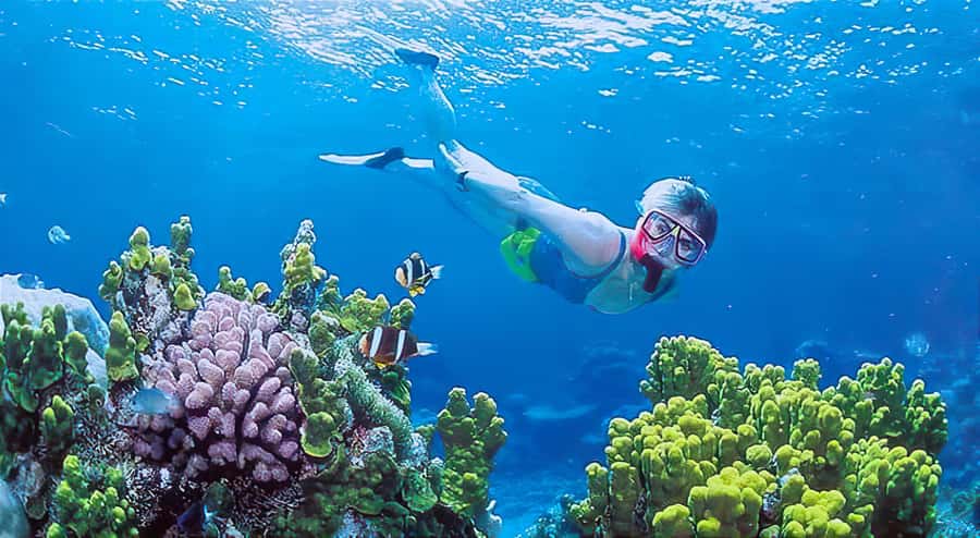 Gili Islands Snorkeling Adventure - Stop 1: Gili Trawangan Snorkeling and Big-Island Marine Life