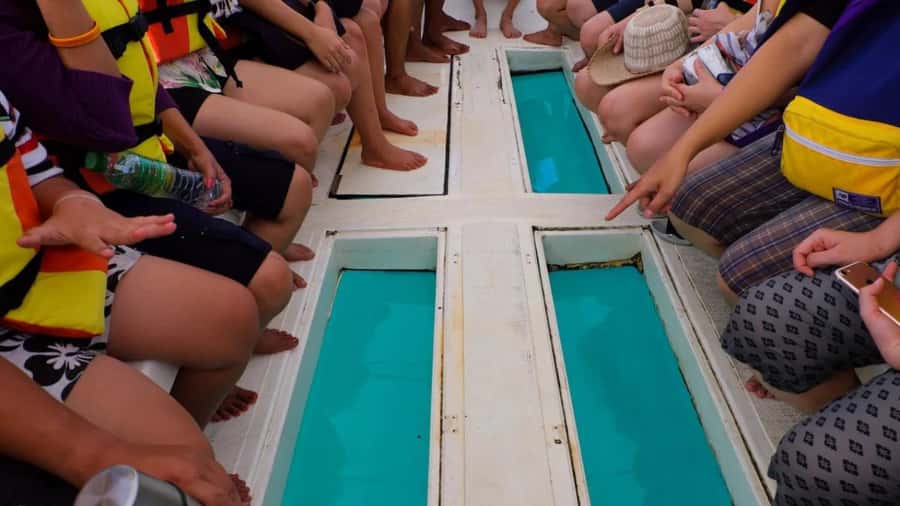 Gili Islands Snorkeling Adventure - The Glass-Bottom Boat: More Than a Warm-Up